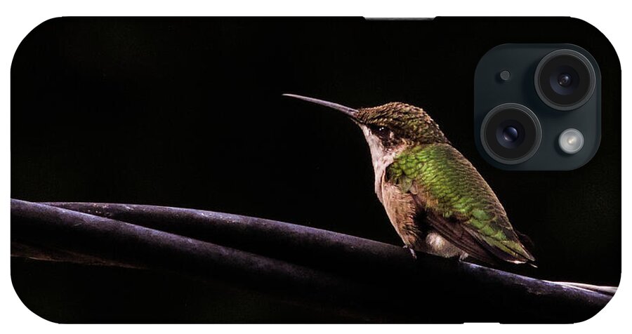 Bird iPhone Case featuring the photograph Bird on a Wire by Randy J Heath