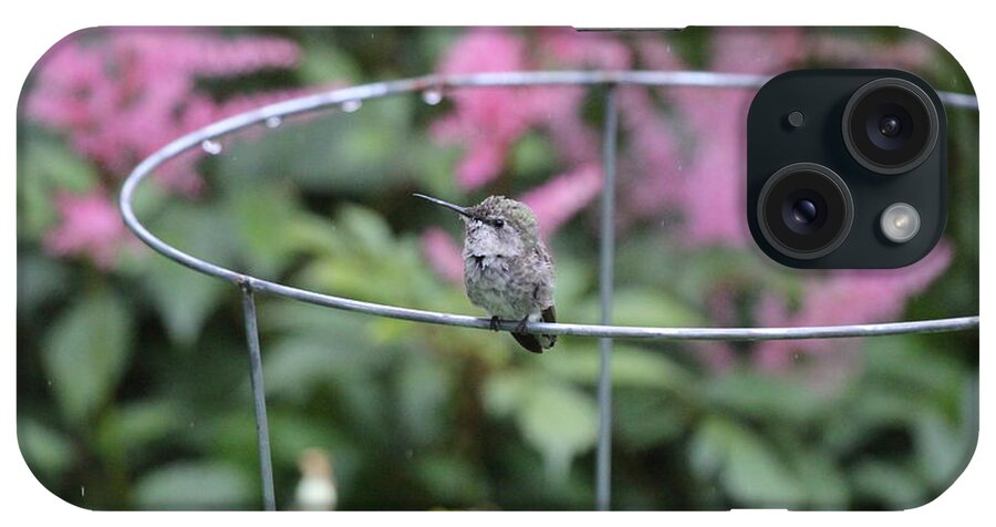 Humming iPhone Case featuring the photograph Bird On A Wire by Trent Mallett