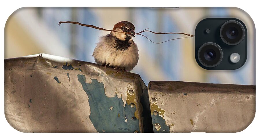 Beak iPhone Case featuring the photograph Bird with Twig by Roslyn Wilkins