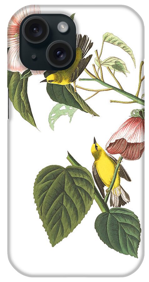 John James Audubon iPhone Case featuring the photograph Birds Chat by Munir Alawi