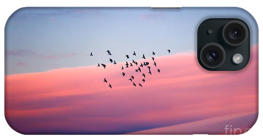 Air iPhone Case featuring the photograph Birds migration by Anna Om