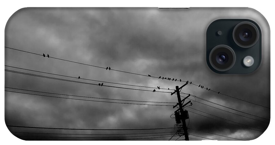 Birds iPhone Case featuring the photograph Birds on a Wire 2018 by Chris Montcalmo