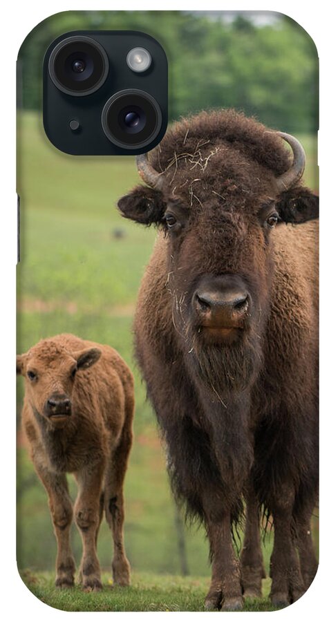 Bison iPhone Case featuring the photograph Bison 4 by Joye Ardyn Durham