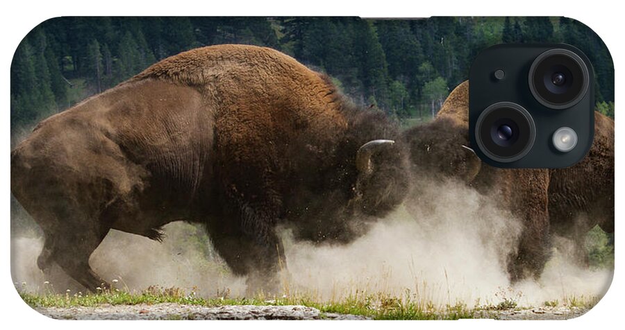 Mark Miller Photos iPhone Case featuring the photograph Bison Duel by Mark Miller