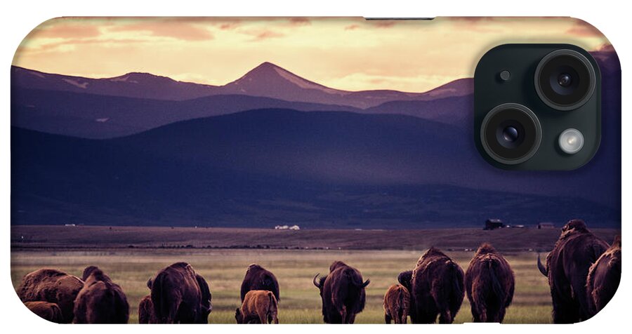 American West iPhone Case featuring the photograph Bison Herd into the sunset by Chris Bordeleau