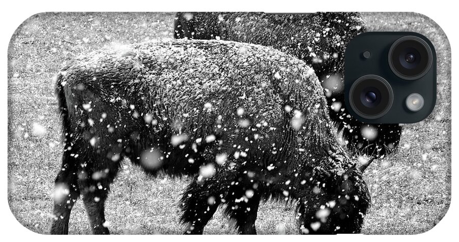 Bison iPhone Case featuring the photograph Bison in Snow by JustJeffAz Photography