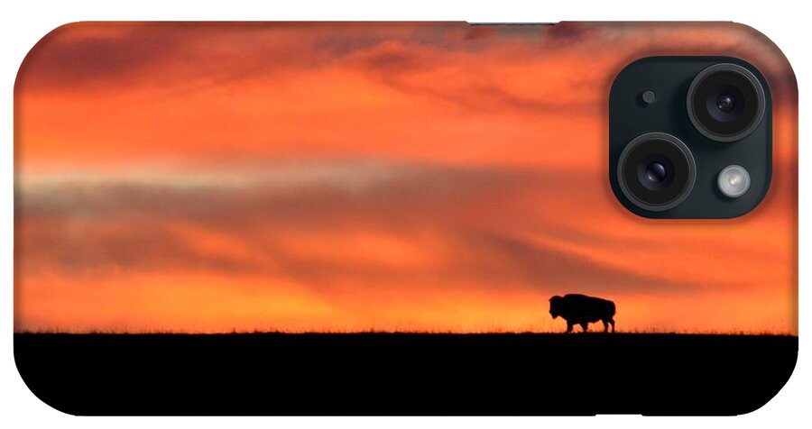  iPhone Case featuring the photograph Bison in the Morning Light by Keith Stokes