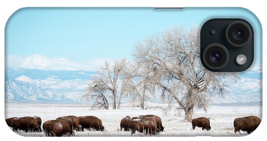 Bisons iPhone Case featuring the photograph Bisons in a Winter Morning by Catherine Lau