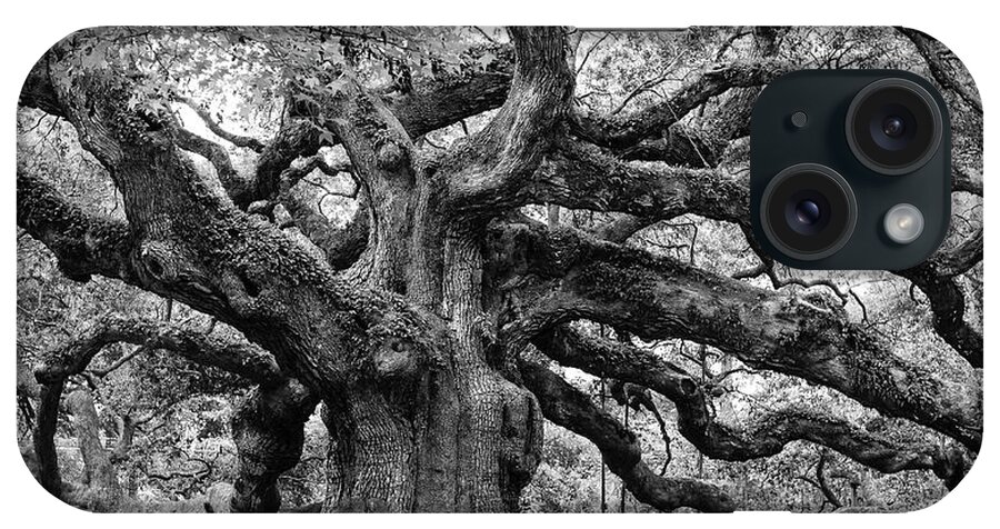 Angel Oak iPhone Case featuring the photograph Black and White Angel Oak Tree by Louis Dallara