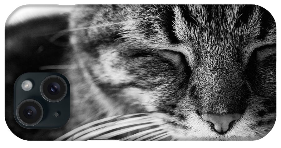 Cat iPhone Case featuring the photograph Black and White Cat Nap by Rachel Morrison