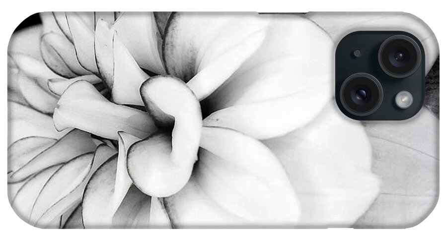 Black And White Fine Wall Art Print iPhone Case featuring the photograph Black and White Fine Wall Art Dahlia Print by Gwen Gibson