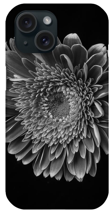 Black And White iPhone Case featuring the photograph Black And White Gerbera Daisy by Garry Gay