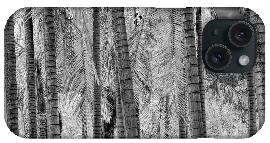 The Huntington Library iPhone Case featuring the photograph Black and White Infrared Palm Trees at The Huntington Library by Randall Nyhof