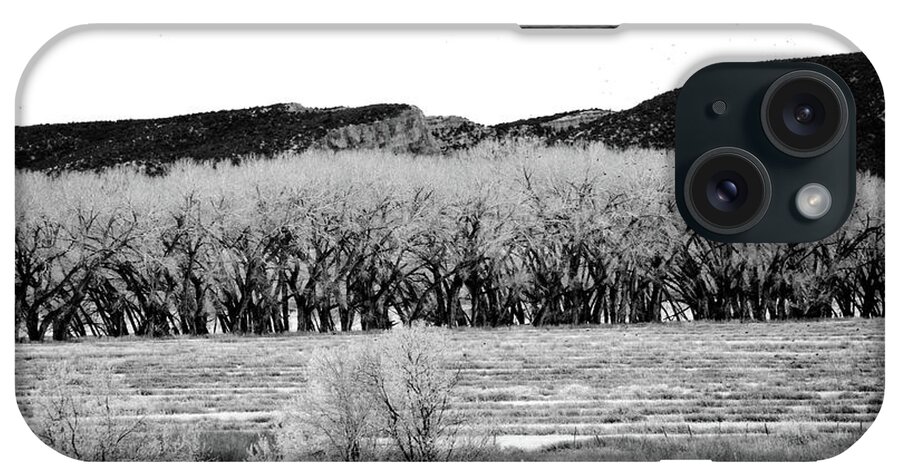 Black And White iPhone Case featuring the photograph Energy of Place Black and White Landscape Winter Birds in the Foothills by Jani Bryson