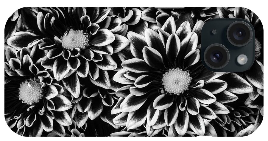 Pom iPhone Case featuring the photograph Black And White Poms by Garry Gay
