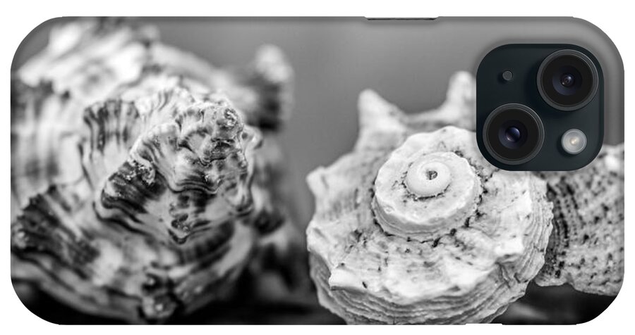 Shells iPhone Case featuring the photograph Black and White Shell Couple by Hermes Fine Art