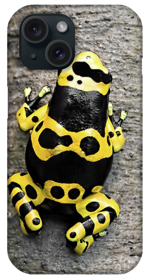 Frog iPhone Case featuring the photograph Black and Yellow Poison Dart Frog by Barbara McMahon