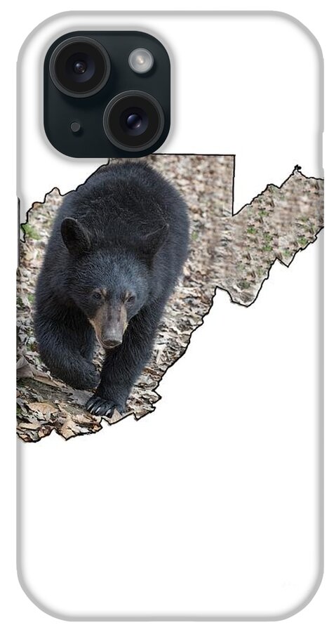 Black; Black Bear; Bear; Fall; Leaves; iPhone Case featuring the photograph Black bear coming close by Dan Friend