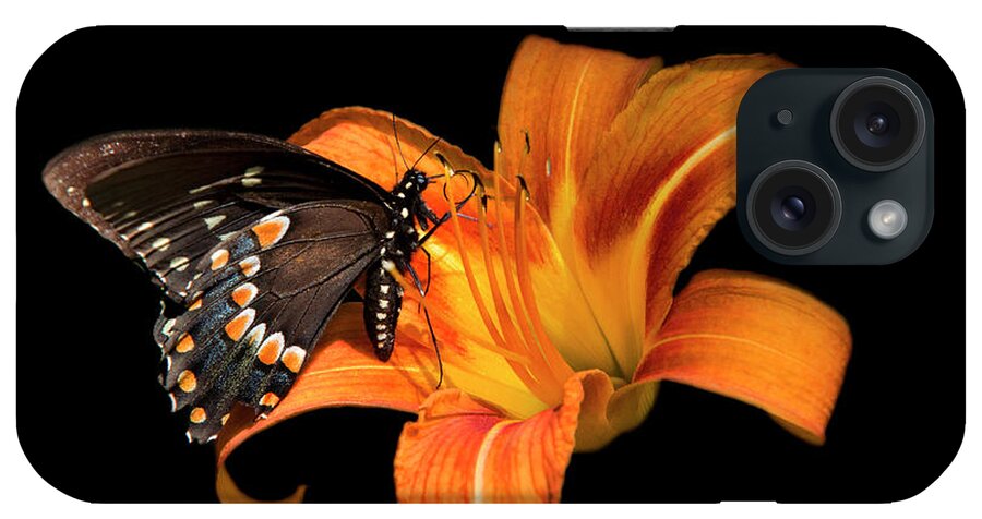 Butterfly iPhone Case featuring the photograph Black Beauty Butterfly by Christina Rollo
