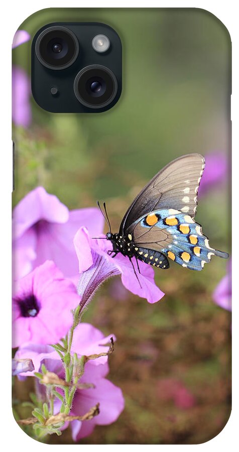 Black Blue And Orange Butterfly iPhone Case featuring the photograph Black Blue and Orange Butterfly V2 by Douglas Barnard
