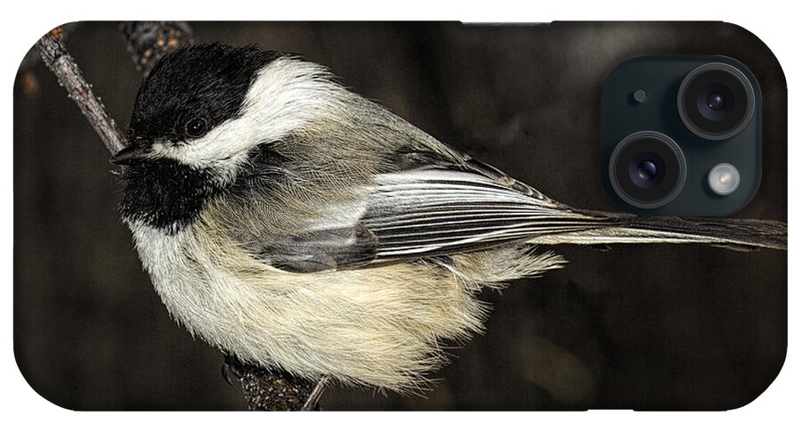 Bird iPhone Case featuring the photograph Black-Capped Chickadee by Fred Denner