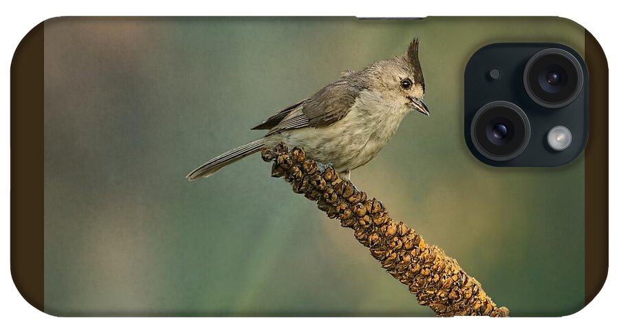 Bird iPhone Case featuring the photograph Black-crested Titmouse by Peggy Blackwell