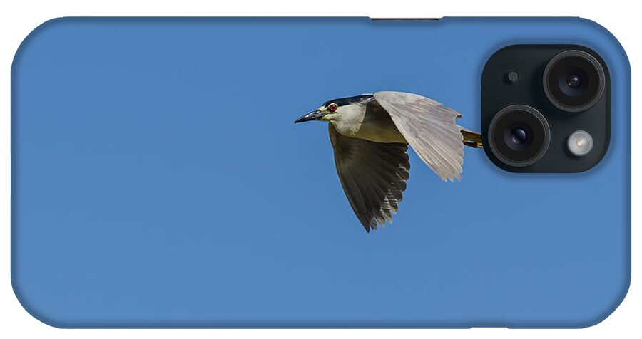 Flight iPhone Case featuring the photograph Black-Crowned Night Heron by Yeates Photography
