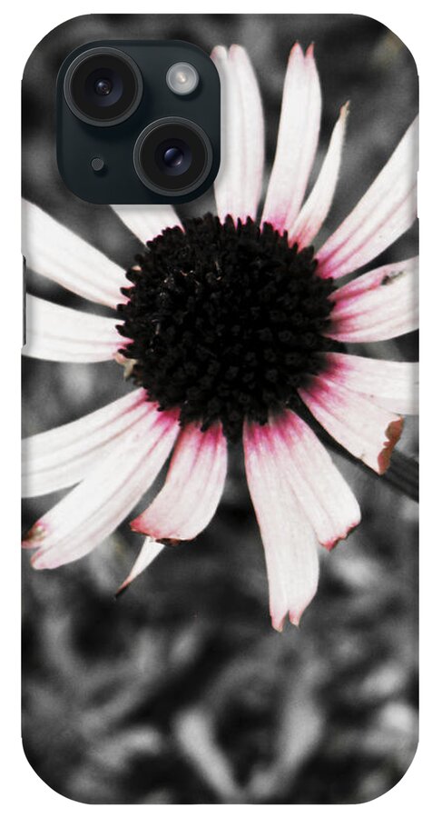 Flower iPhone Case featuring the photograph Black Eyed by Deborah Crew-Johnson
