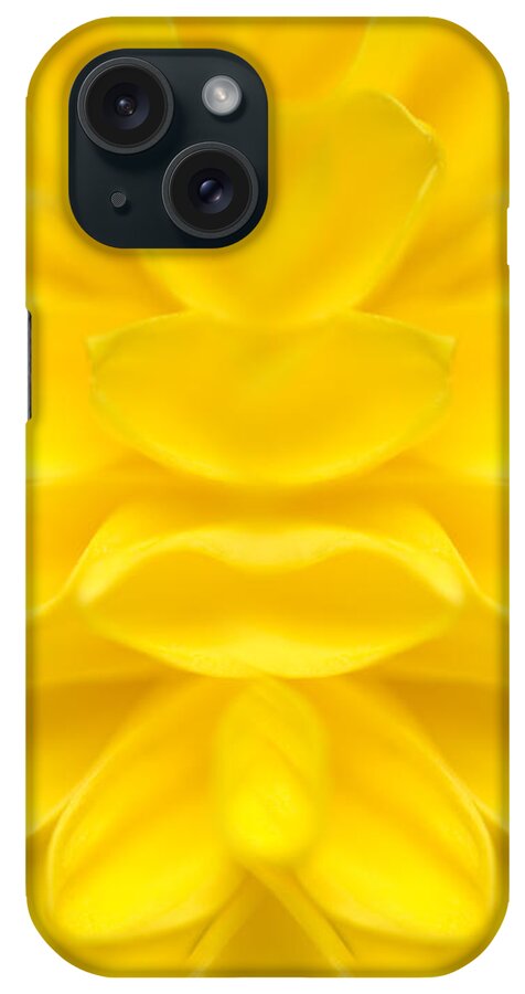 Black Eyed Susan iPhone Case featuring the photograph Black Eyed Susan Abstract by George Robinson