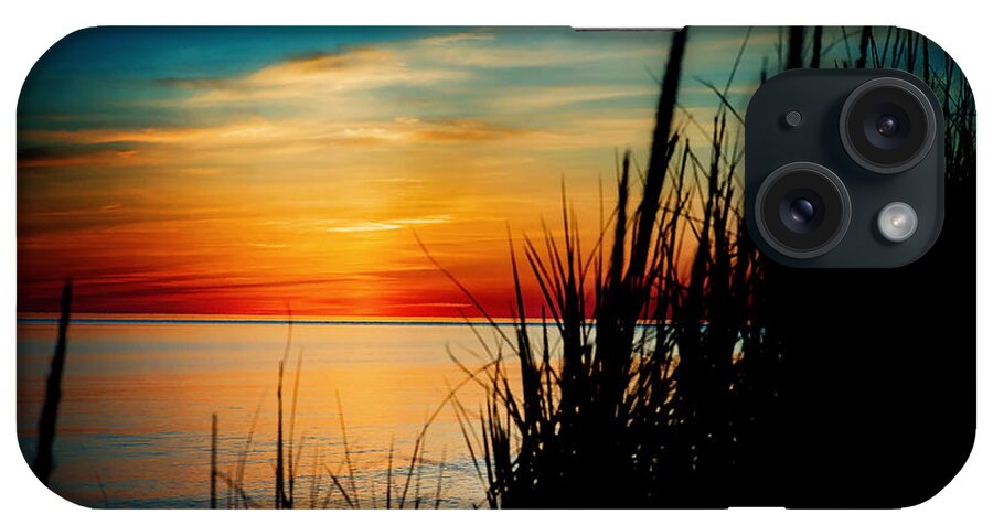 Ludington iPhone Case featuring the photograph Black Grass by Randall Cogle