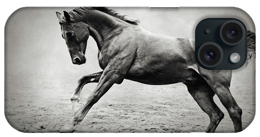 Horse iPhone Case featuring the photograph Black horse in dust by Dimitar Hristov