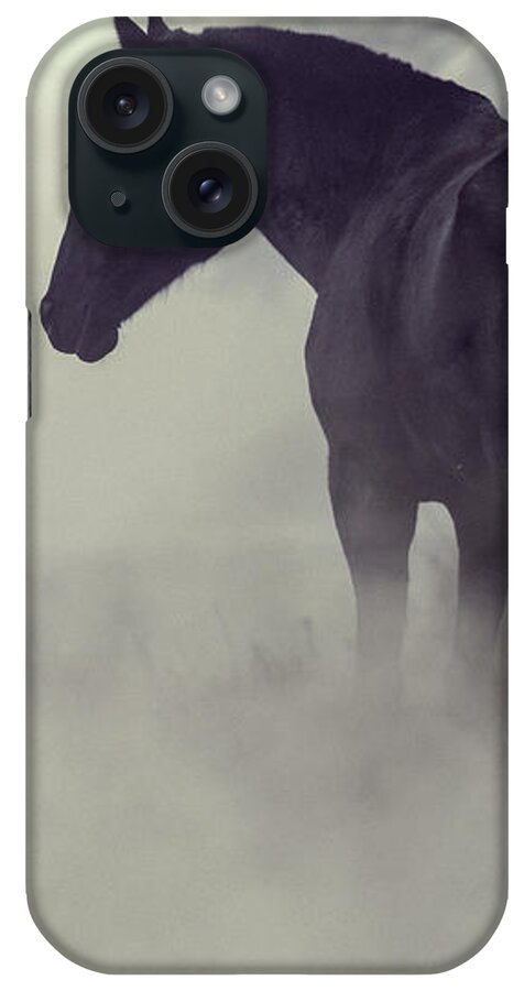 Horse iPhone Case featuring the photograph Black horse in the dark mist by Dimitar Hristov