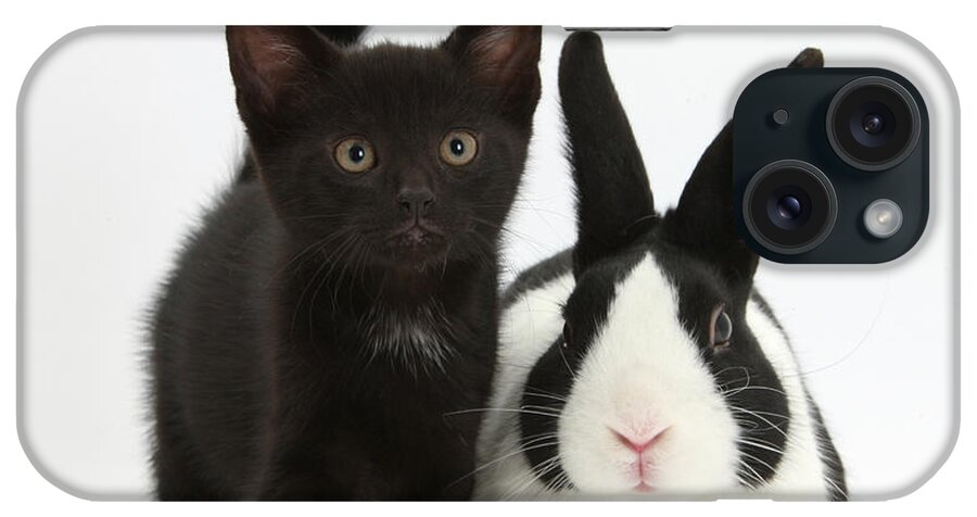 Nature iPhone Case featuring the photograph Black Kitten And Dutch Rabbit by Mark Taylor