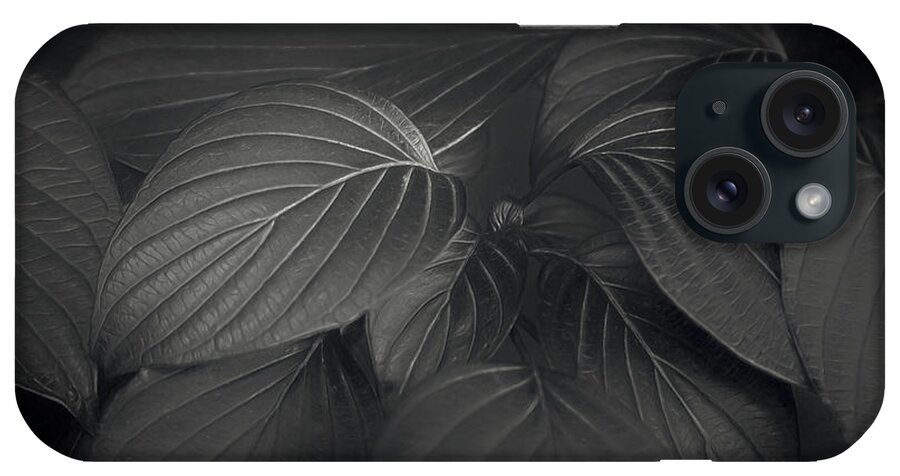 Leaf iPhone Case featuring the photograph Black Leaves by Scott Norris
