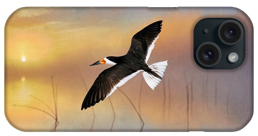 Black Skimmer iPhone Case featuring the photograph Black Skimmer at Sunset by Laura D Young