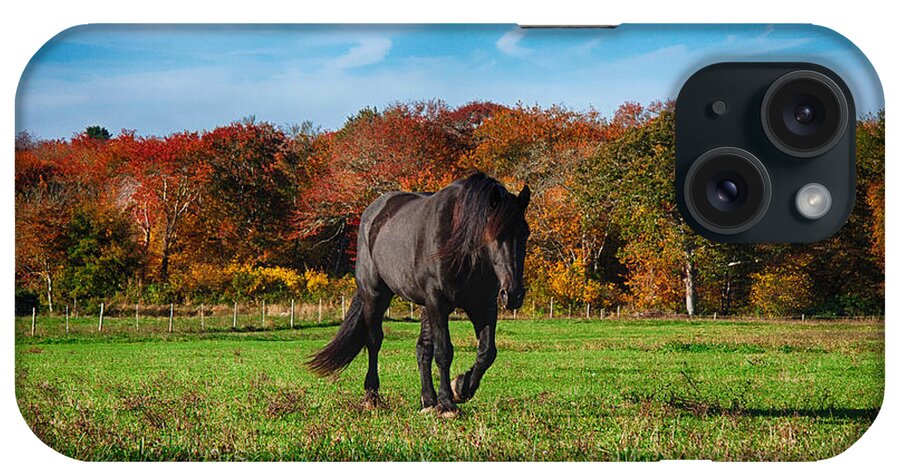 #jefffolger iPhone Case featuring the photograph Black stalion in the fall colors by Jeff Folger
