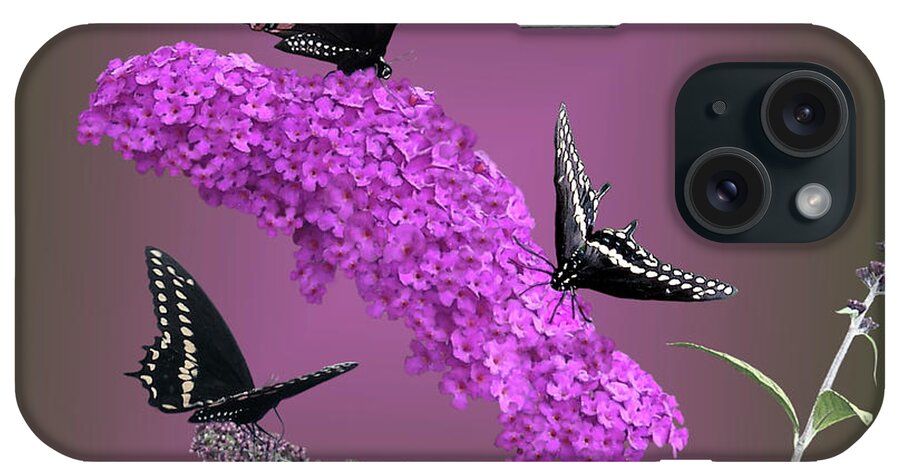 Fine Art iPhone Case featuring the digital art Black Swallowtail 2 by Torie Tiffany