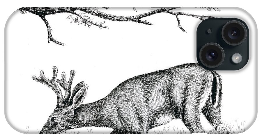 Black Tail Deer iPhone Case featuring the drawing Black Tail In Velvet by Timothy Livingston