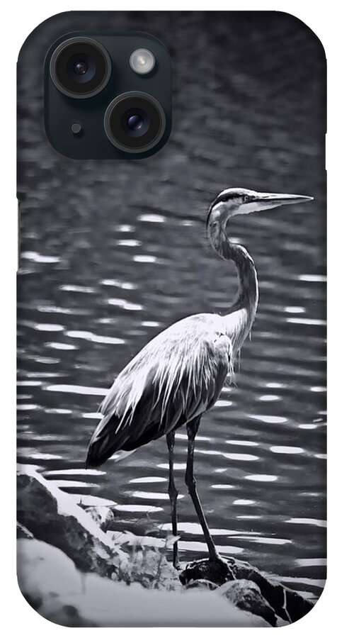 Black/white Heron iPhone Case featuring the photograph Black/White HERON by Debra   Vatalaro