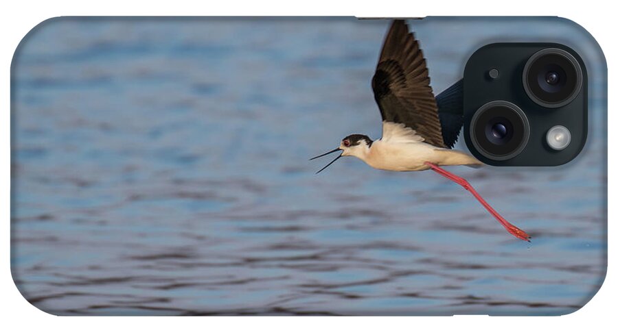 Animal iPhone Case featuring the photograph Black-winged stilt - Himantopus himantopus by Jivko Nakev