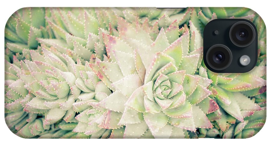 Plants iPhone Case featuring the photograph Blanket of Succulents by Ana V Ramirez