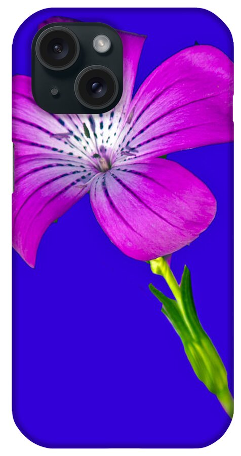 Flower iPhone Case featuring the photograph Blasting Flower by Matthew Bamberg