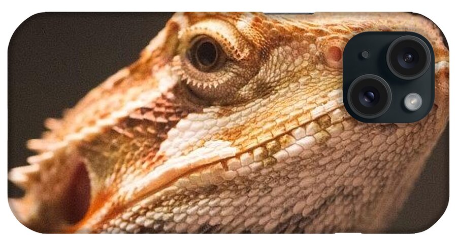 Rcspics iPhone Case featuring the photograph Blix Is Dubious by Dave Edens
