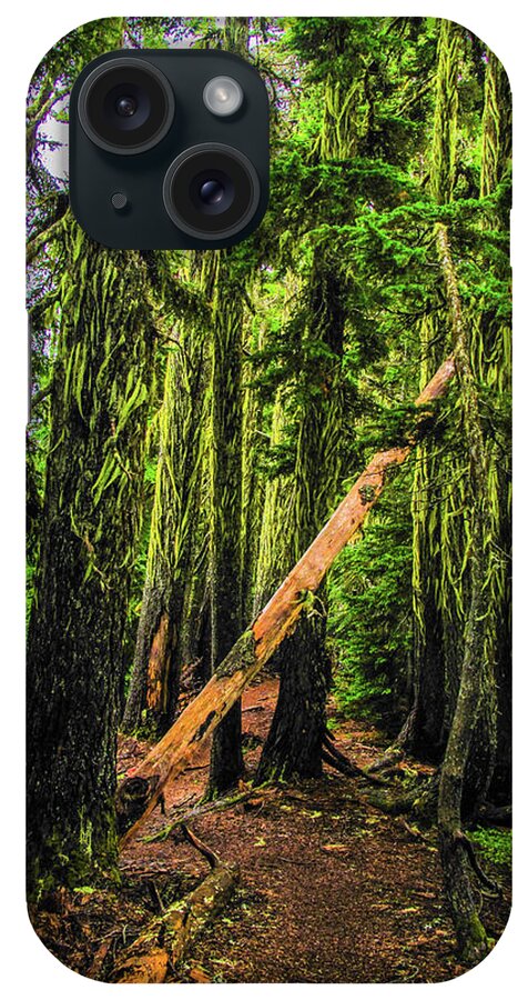 Art iPhone Case featuring the photograph Blocked Trail by Jason Brooks