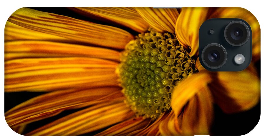 Flower iPhone Case featuring the photograph Bloom Bloom by Gerald Kloss