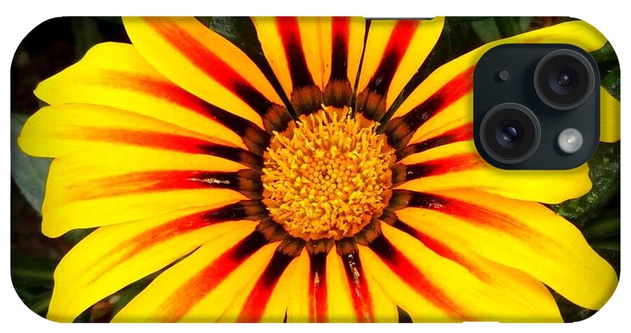 Flower iPhone Case featuring the photograph Bloom by Donna Spadola