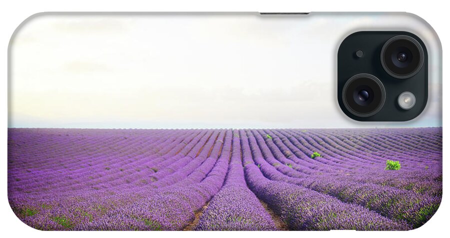 Lavender iPhone Case featuring the photograph Blooming Lavender Field Rows by Anastasy Yarmolovich