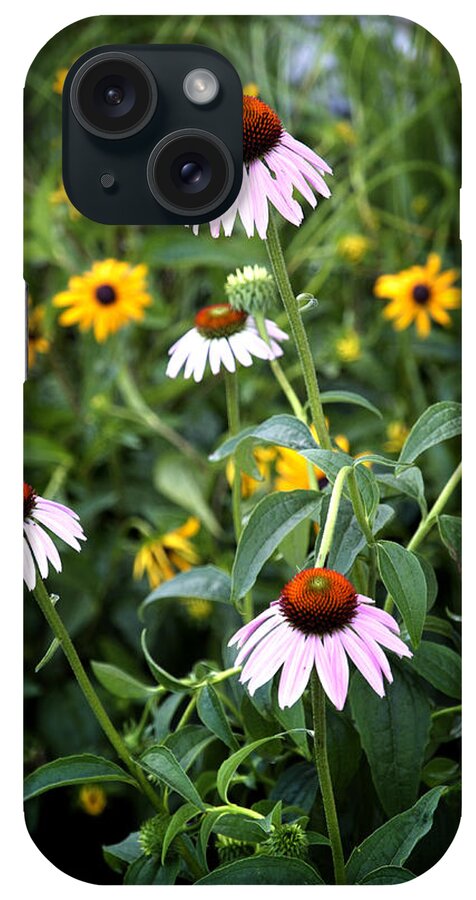 Blooms iPhone Case featuring the photograph Blooms by George Taylor