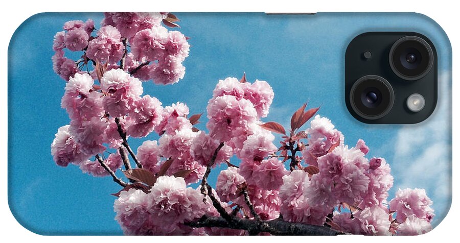 Blossom iPhone Case featuring the photograph Blossom Impressions by Gwyn Newcombe