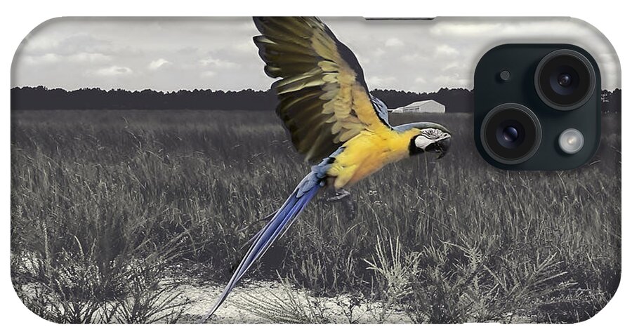 Photoshop iPhone Case featuring the photograph Blue And Gold Macaw by Melissa Messick